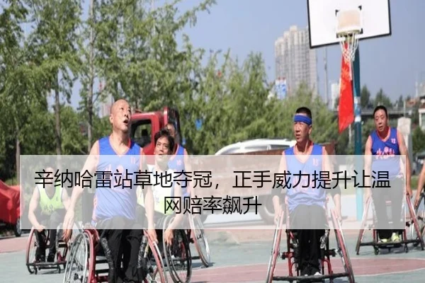 辛纳哈雷站草地夺冠，正手威力提升让温网赔率飙升