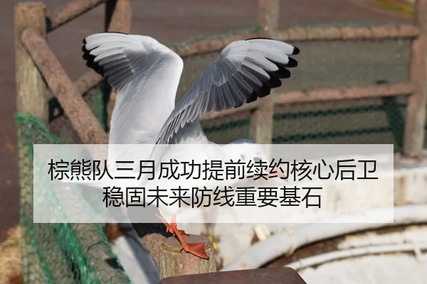 棕熊队三月成功提前续约核心后卫 稳固未来防线重要基石