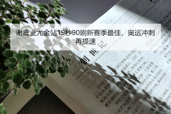 谢震业尤金站19秒90刷新赛季最佳，奥运冲刺再提速